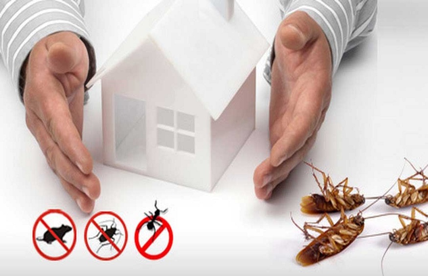 Tips For Keeping Pests Out