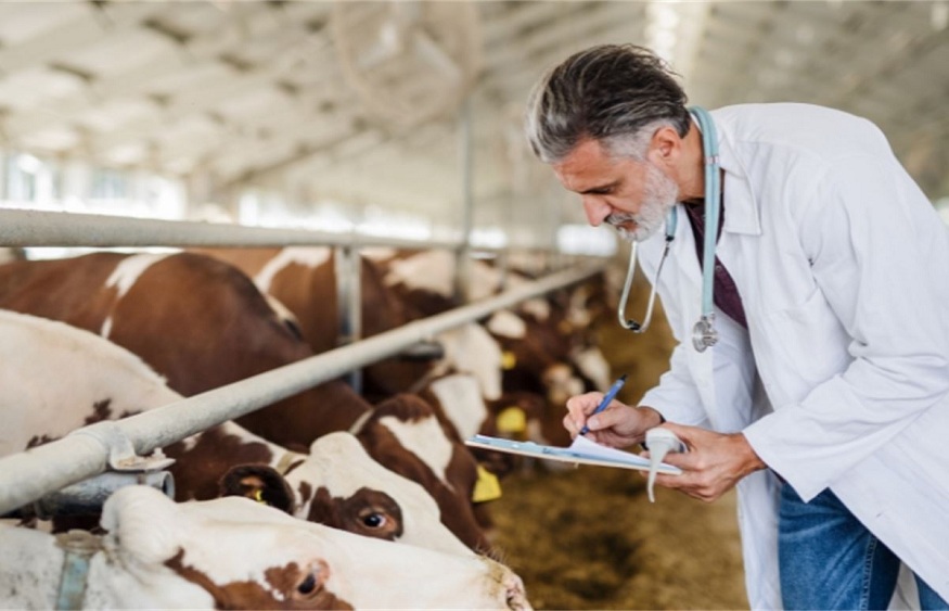 Top Tips for Ensuring Animal Health and Eco-Friendly Practices